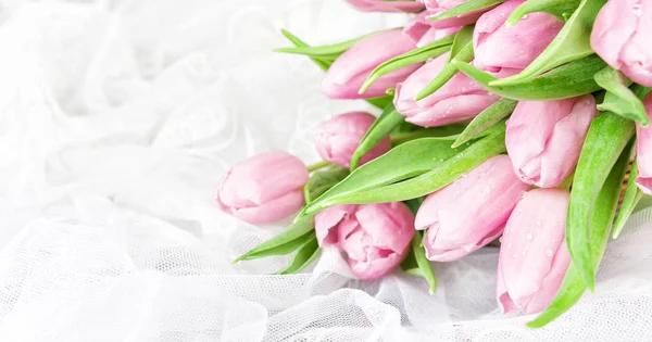 Roze tulpen bloemen — Stockfoto