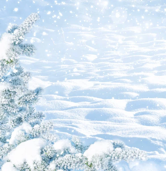 Зимний рождественский фон — стоковое фото