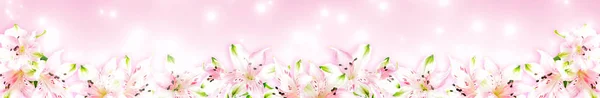 Альстромерия цветы на розовом фоне — стоковое фото
