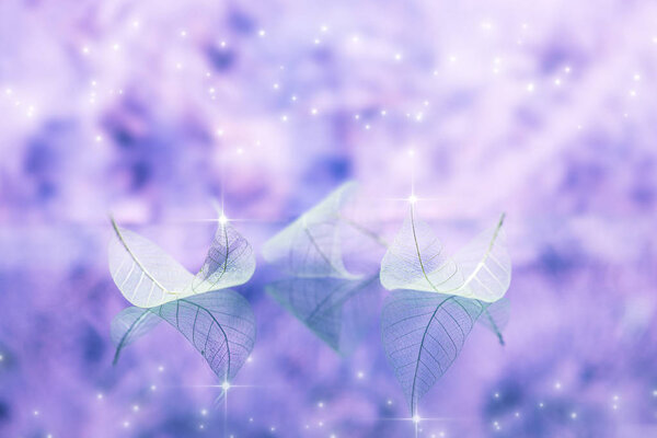 Fairytale wallpaper with transparent white leaves