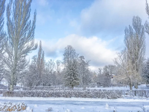 겨울 눈 덮인 공원 — 스톡 사진