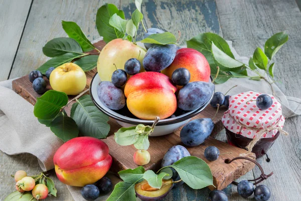 Skörd av olika frukter och bär — Stockfoto