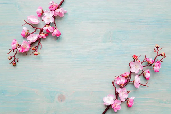 Różowe kwiaty wiśni na niebieskim tle drewnianym — Zdjęcie stockowe