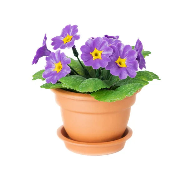 Sztuczna Roślina Pierwotna Purpurowymi Kwiatami Zielonymi Liśćmi Ceramicznym Garnku Izolowanym — Zdjęcie stockowe
