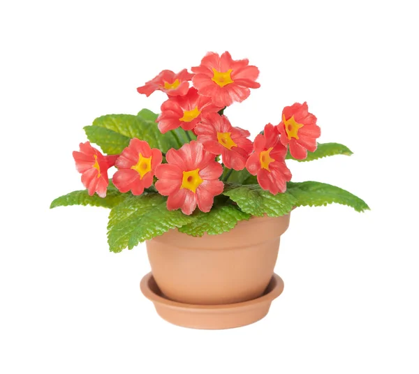 Sztuczna Roślina Pierwotniak Czerwonymi Kwiatami Zielonymi Liśćmi Ceramicznym Garnku Izolowane — Zdjęcie stockowe