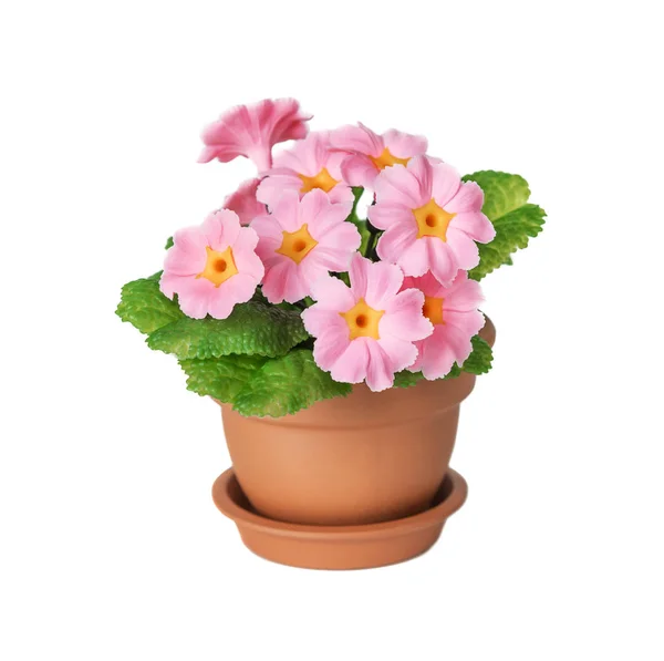 Primula Artificiale Piante Appartamento Con Fiori Rosa Foglie Verdi Una — Foto Stock