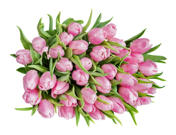 Bouquet Von Frischen Rosa Tulpen Blumen Close Isoliert Auf Weißem — Stockfoto