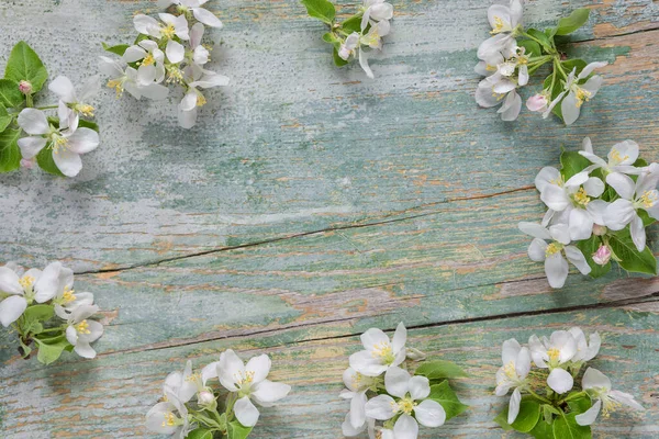 Abstract Spring Background Old Painted Blue Board Frame White Apple — Stock Photo, Image