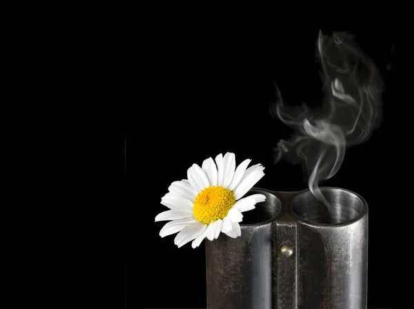 Fiore Camomilla Tronco Fucile Caccia Fumo Colpo Isolato Uno Sfondo — Foto Stock