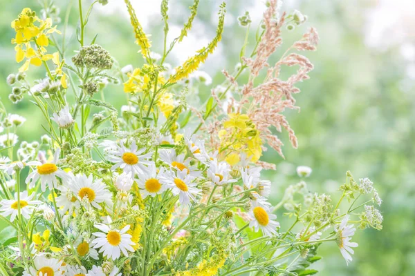 Doğal Yeşil Arka Planda Çeşitli Renkte Kır Çiçeklerinden Oluşan Buket — Stok fotoğraf