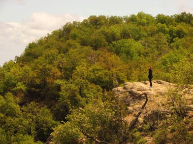 Dağlarda yürüyüş, And Dağları 'ndaki yerli orman. Orta Şili 'deki hahamlar