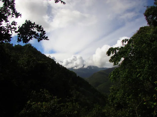 Πράσινο Ιθαγενές Δάσος Σύννεφα Φωτογραφία Τοπίου Άνδεις Βουνά Στη Χιλή — Φωτογραφία Αρχείου
