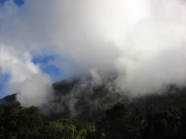 Grüner Urwald Wolken Landschaftsfotografie Andengebirge Chile — Stockfoto