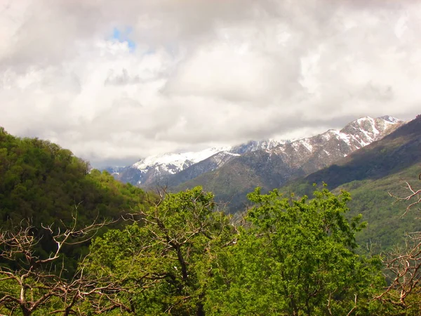 Anden Gebirge Schnee Zentralchile Rabones — Stockfoto