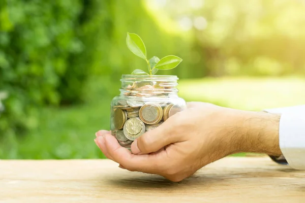 Planta que crece de dinero (monedas) en el frasco de vidrio — Foto de Stock