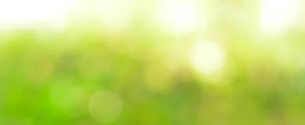 Abstrakte grüne Bokeh-Panorama-Header Hintergrund — Stockfoto