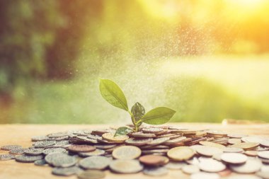 Yığınla paradan (madeni paralar) büyüyen genç fabrika - pasif gelir, tasarruf ve yatırım kavramı