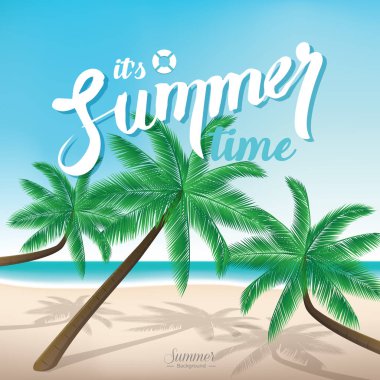 Hindistan cevizi ağaçları sahilde