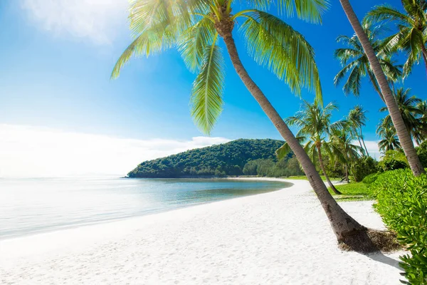 Mooie tropische witte zand strand in de zomer — Stockfoto