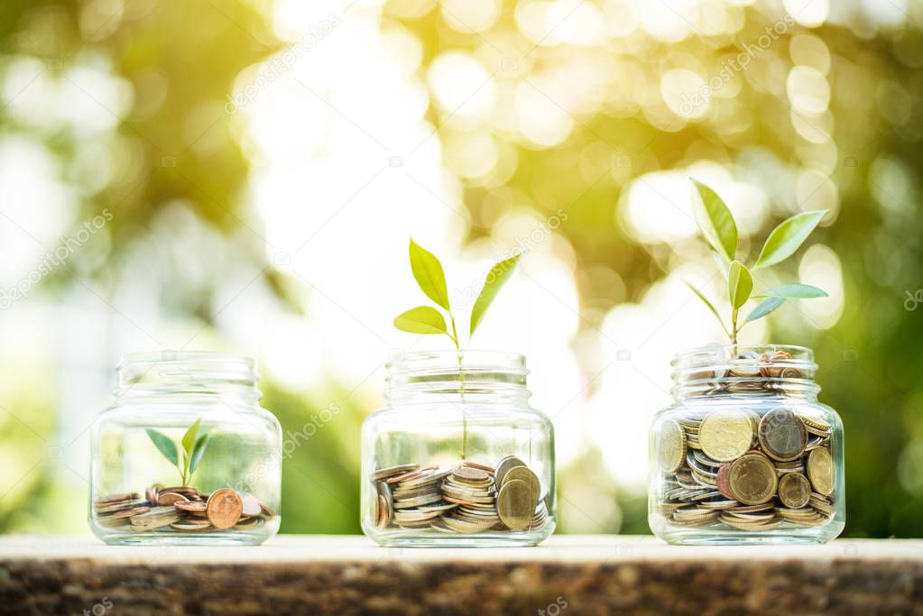 Young plant growing in the glass jars that have money (coins) - 