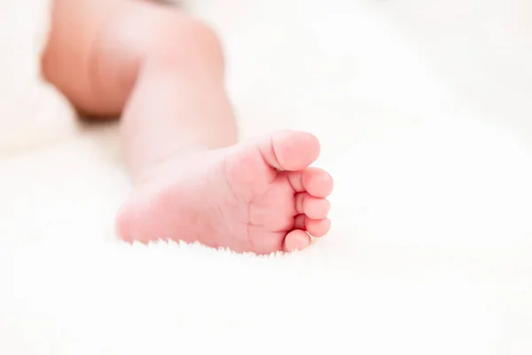 Маленькая ножка новорожденного ребенка на белом шерстяном пуховом одеяле — стоковое фото