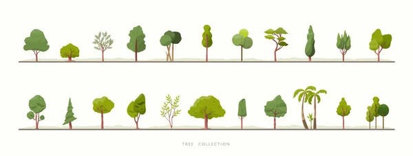 Συλλογή Από Διάφορα Πράσινο Δέντρο Διάνυσμα Σύνολο Εικονίδιο — Διανυσματικό Αρχείο