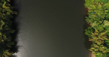 Tropikal yeşil ormandaki nehrin güzel doğal manzarası, üst görüş hava aracı görüntüsü.