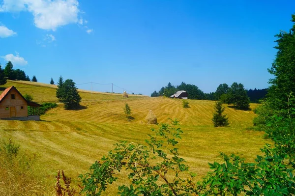 Campi Infiniti Del Parco Nazionale Tara — Foto Stock