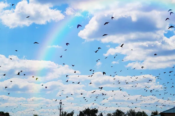 Cielo Blu Blu Con Nuvole Come Fatto Cotone Idrofilo — Foto Stock