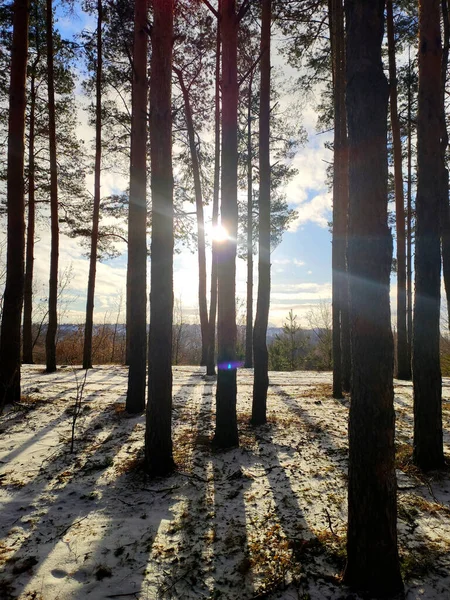 Hiver Russe Dans Toute Beauté — Photo