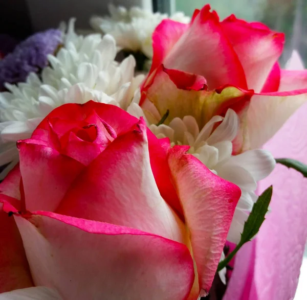 Parlak, güzel kokulu çiçekler en iyi hediyedir..