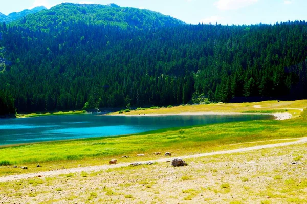 Misterioso Lago Negro Durmitor Montenegro — Fotografia de Stock