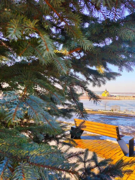 Sarı bank baharı bekliyor..