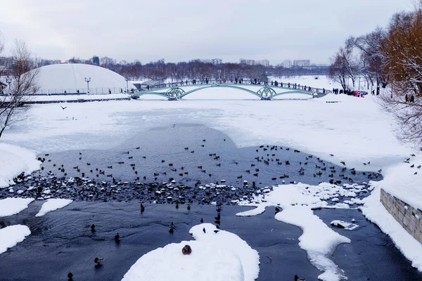 Complexe Tsaritsyno Palace Moscou Russie — Photo