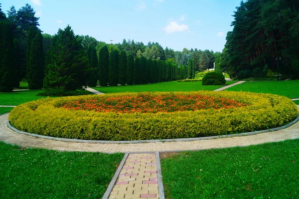 Kislovodsk Parkı Kafkas Mineral Suları Rusya — Stok fotoğraf