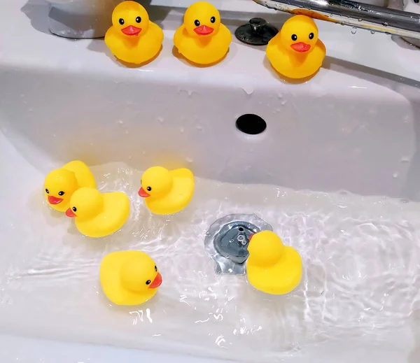 Yellow Toy Ducklings Bathe Clear Water — Stock Photo, Image