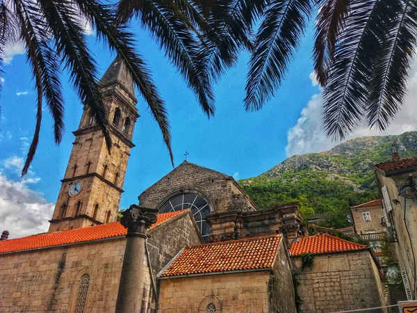 Karadağ 'ın Perast kentinde mavi gökyüzü ve palmiye ağaçları.