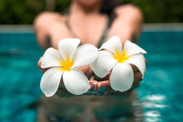 Havuzda iki güzel çiçek gösteren bir kadın. Frangipani çiçekleri