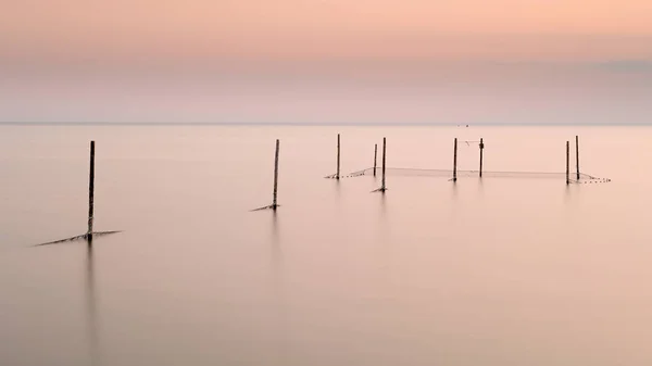 Sunset pink sky and sea landscape with poles and fishing nets