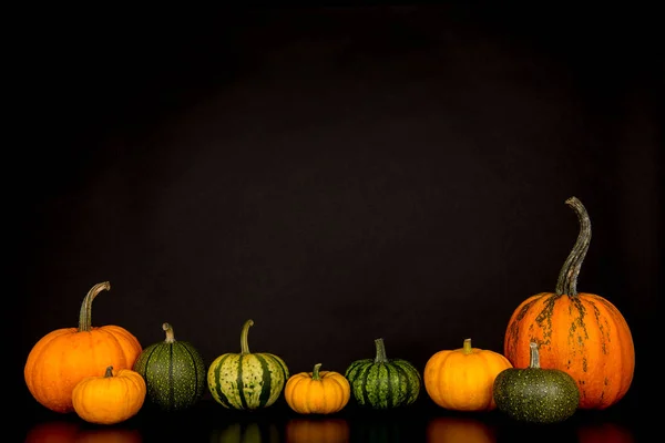 Grupo de calabazas naranjas y verdes sobre fondo negro —  Fotos de Stock