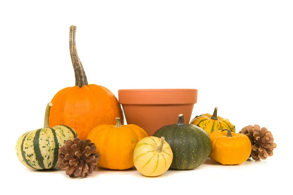 Calabazas de decoración naranja y maceta vacía —  Fotos de Stock