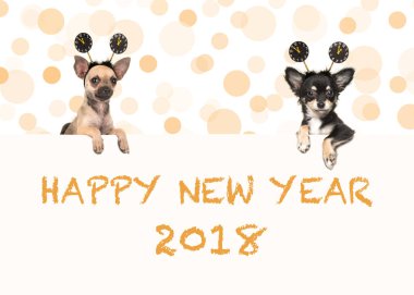 Mutlu yeni yıl 2018 Chihuahua köpek 