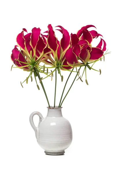 Vaso branco com um buquê de flores lírios glória isolado em um fundo branco — Fotografia de Stock