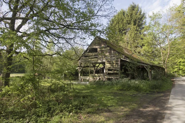 Old dilapidated wooden barn shed surrounded by trees — Stock Photo, Image