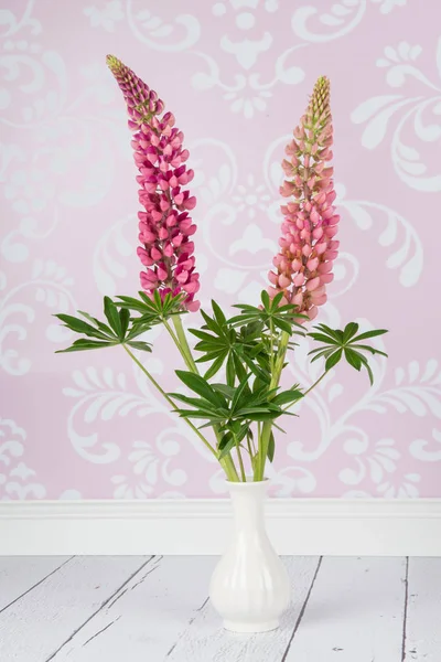 Duas flores de tremoço rosa em um vaso branco em um fundo da sala de estar com papel de parede rosa — Fotografia de Stock