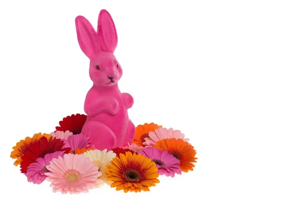 Pink easter bunny between pink flowers — Stock Photo, Image