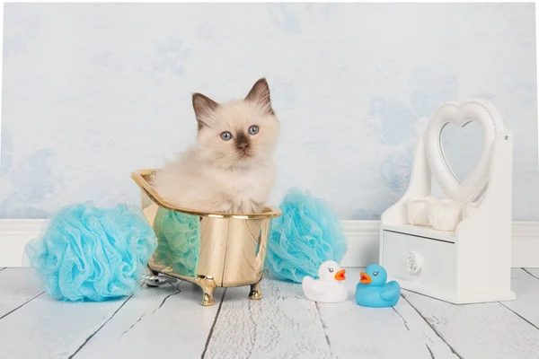 Niedliche Stoffpuppe Baby-Katze in einer goldenen Badewanne in einem blau-weißen Badezimmer Einstellung — Stockfoto
