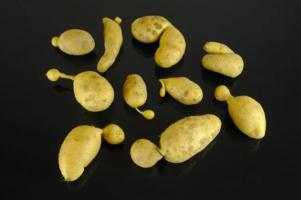 Batatas Orgânicas Deformadas Fundo Preto — Fotografia de Stock