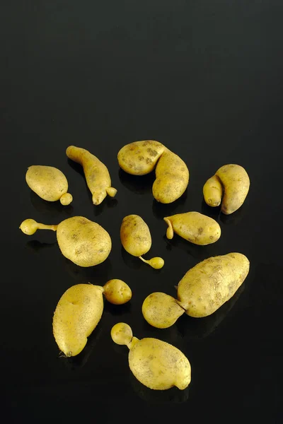 Batatas Orgânicas Deformadas Fundo Preto — Fotografia de Stock