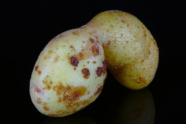 deformed organic potato in macro, on black background